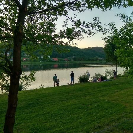 Zacisze Nad Sanem Apartment Krzemienna  Екстериор снимка