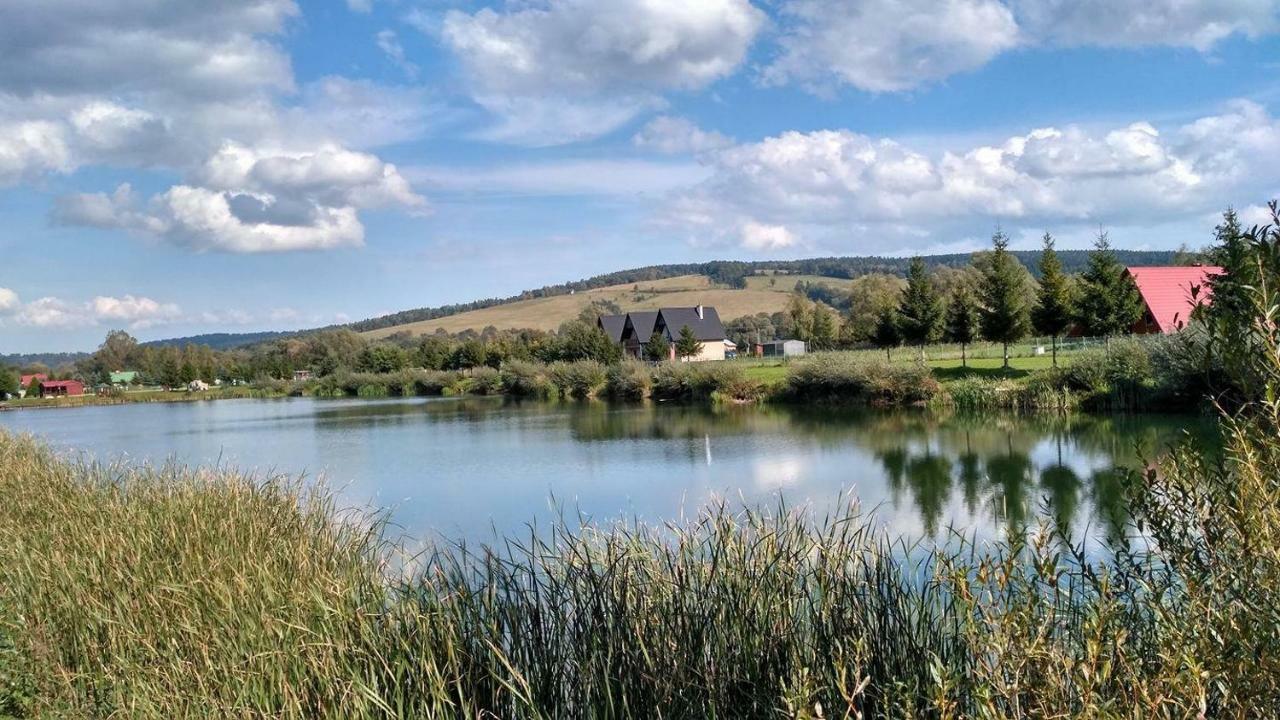 Zacisze Nad Sanem Apartment Krzemienna  Екстериор снимка